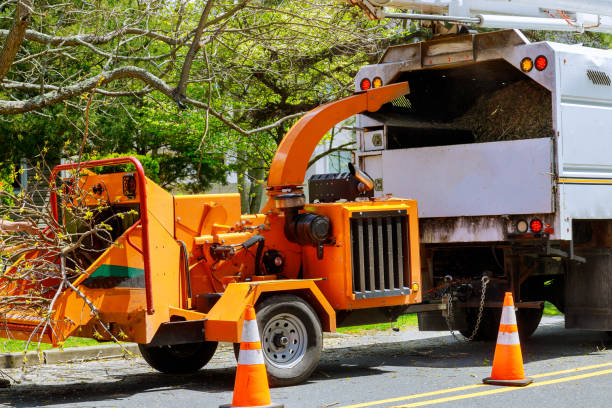 Best Emergency Storm Tree Removal  in Nooksack, WA